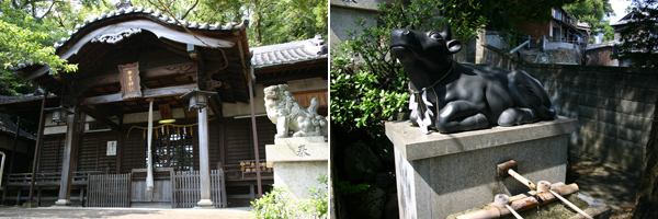 中言神社 / Nakagoto-jinja Shrine	/ 中言神社	/ 中言神社